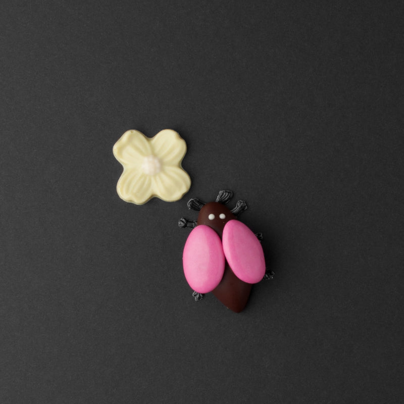 Giandujakäfer - pink