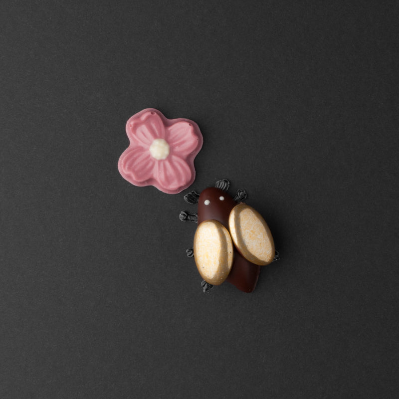 Giandujakäfer - gold