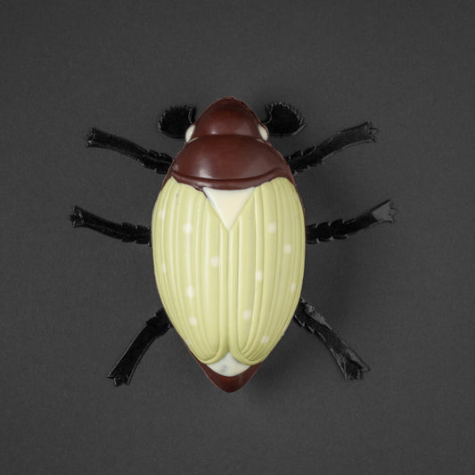 Maladera viridis