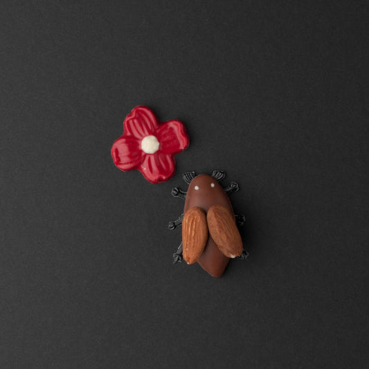 Giandujakäfer - nature