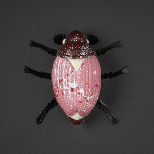 Maladera Rosa