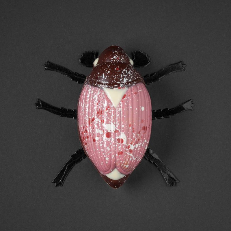 Maladera Rosa