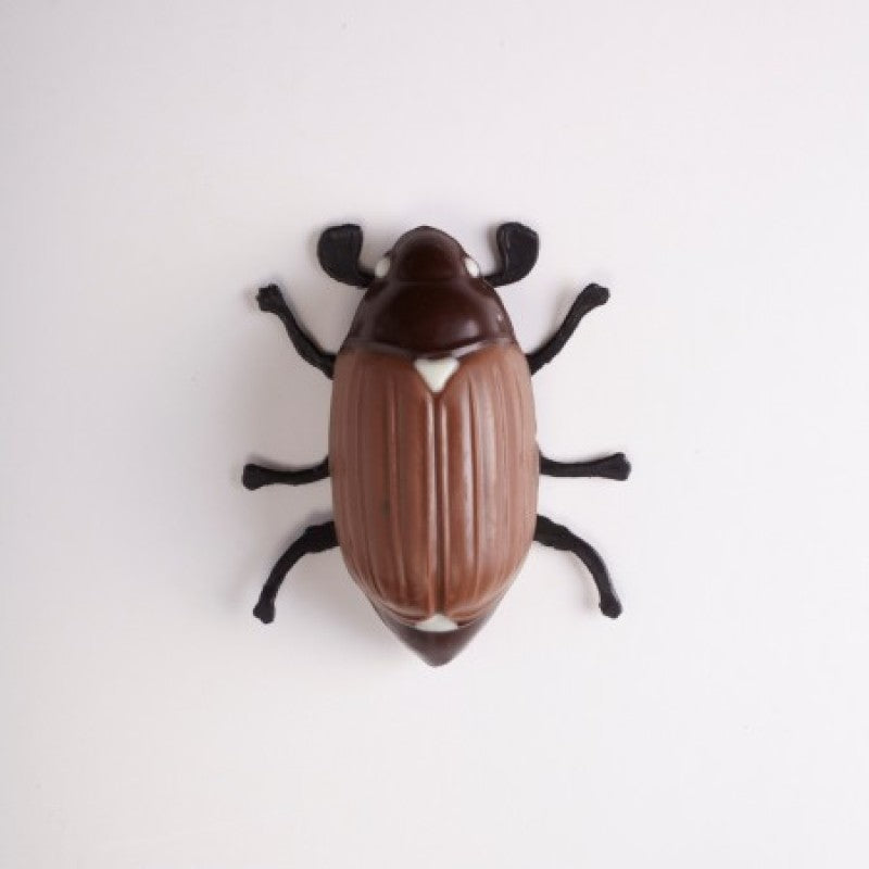 Maikäfer Mini
