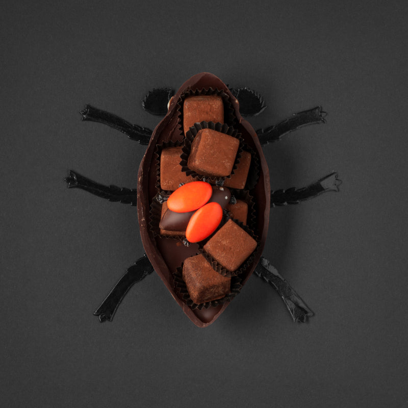Melolontha luteafusca